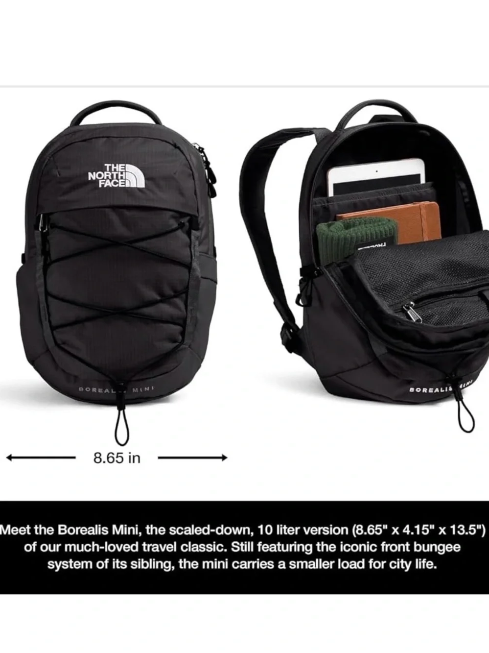 The North Face Black Borealis Mini Backpack